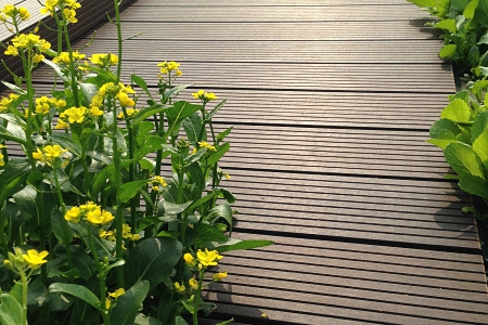 Roof Garden of Vanke Headquarters  exterior 
